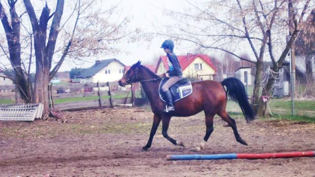 Jedziem ! :3