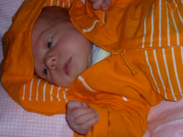 Wpis kaaczii
