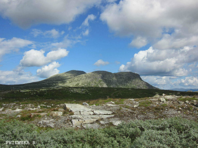 Rjukan cd