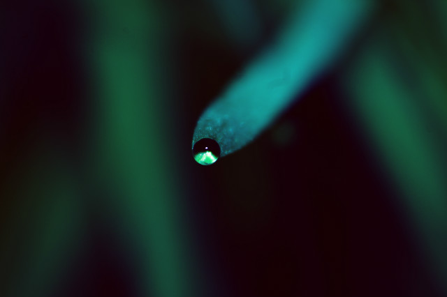 103.