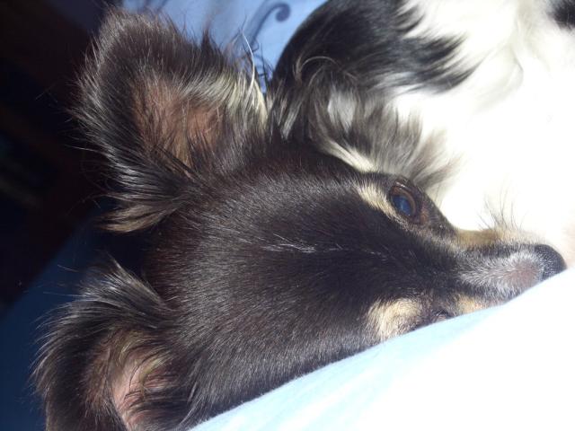 Lili :*
