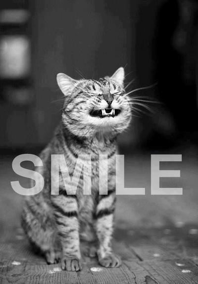 smile.
