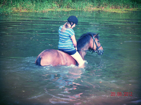 Wpis horselove98