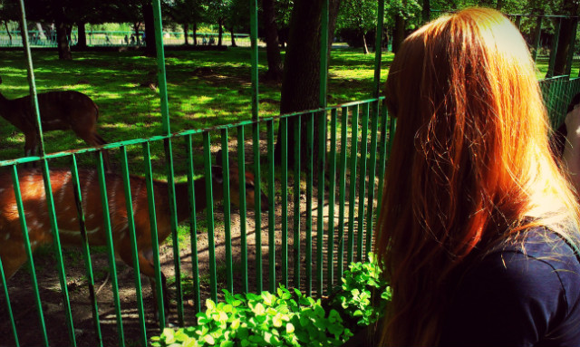 Wpis gingeriseverywhere
