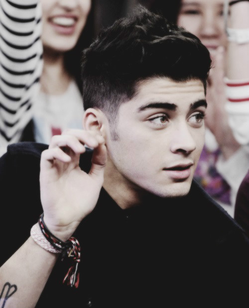 Wpis polanddirectioner