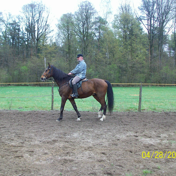 BOHUN