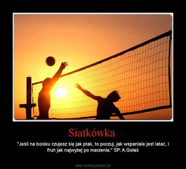 Wpis siatkowkapasja