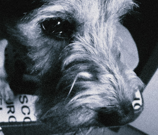 3.