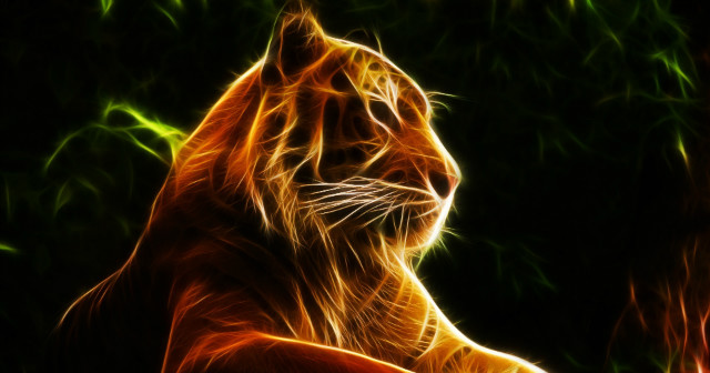 wallpaper1