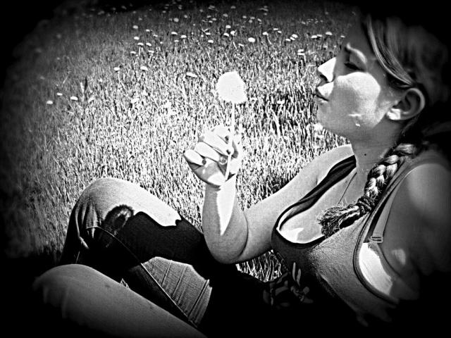 wiosna < 333