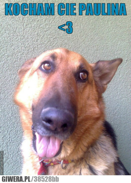 Kocham;*