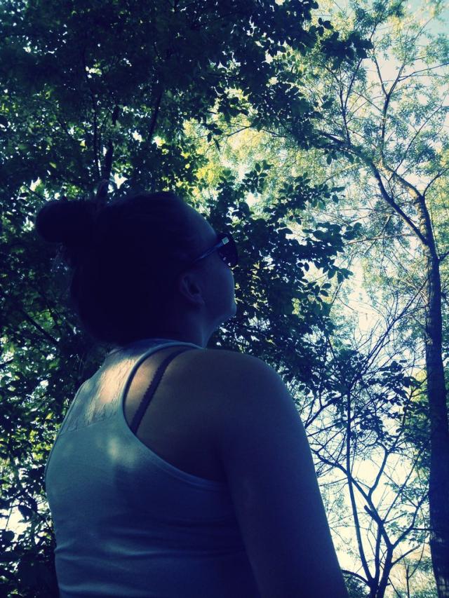 Wpis photoobservation