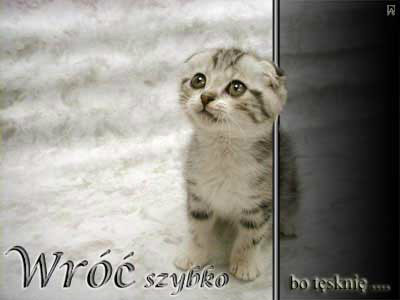 super....