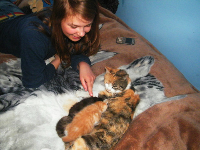 MEOW 