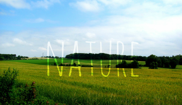nature.