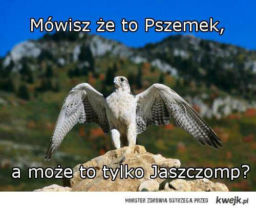 FYCIECZKA