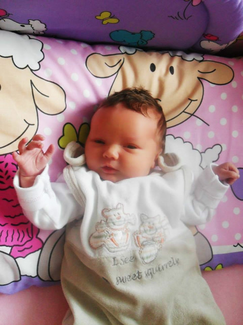Wpis amarzenaa