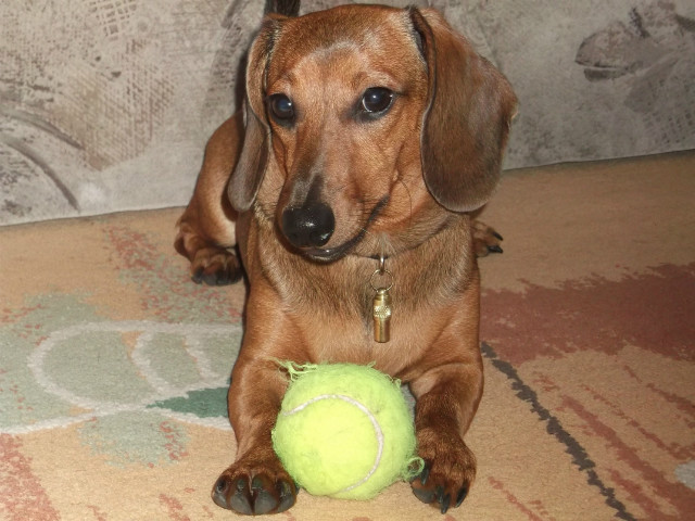 Lisza :D
