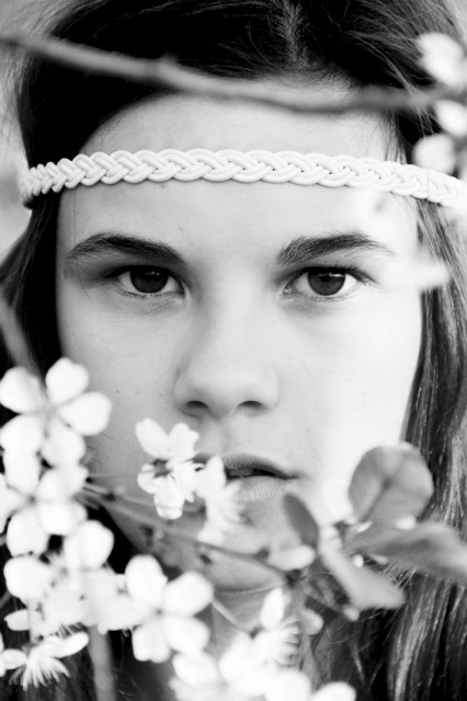 Wpis blogdreams