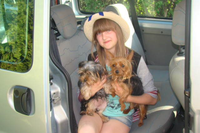 Yorki