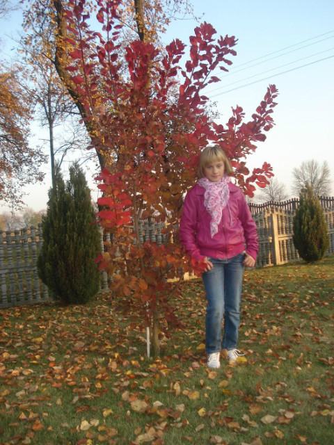Wpis klaudia9991