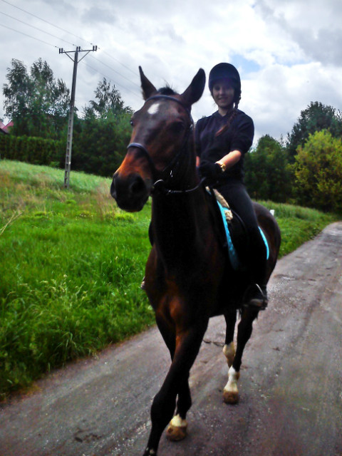 teren
