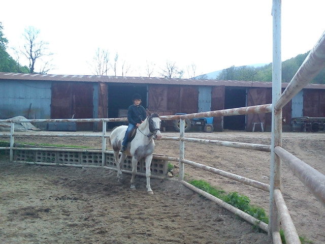 Wpis schockomonster