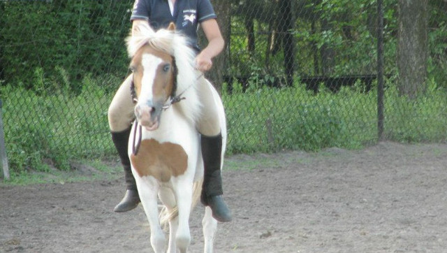 Kucynka