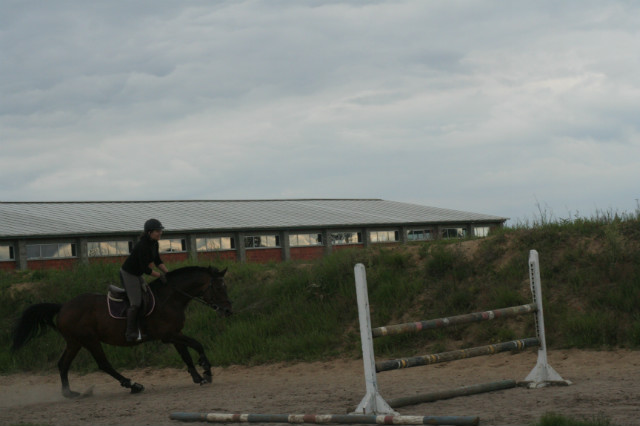 Wpis puuulka