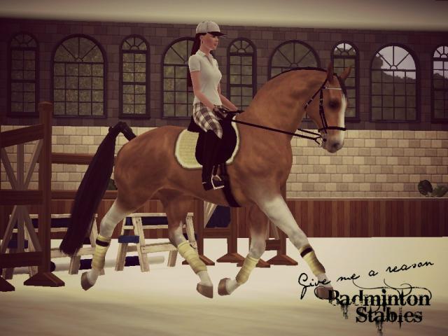 Wpis badmintonstables