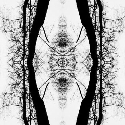Whispers in the dark