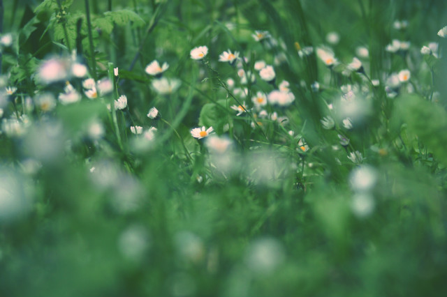 Wpis emeraldphotography