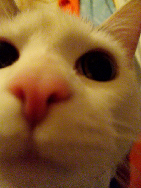 Milky