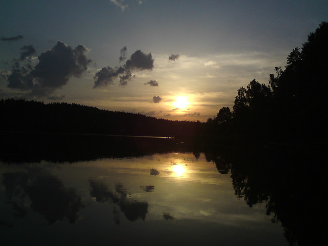 Wpis bladyneczka