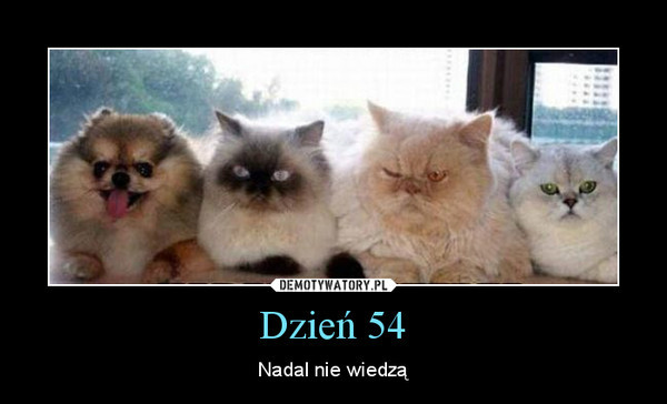 Wpis 321smile