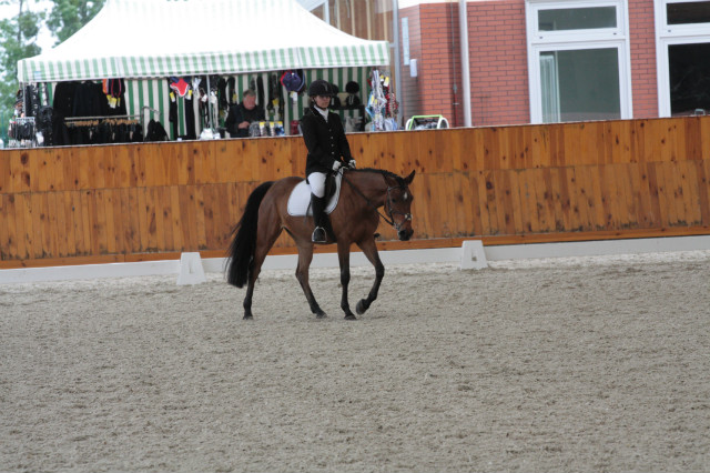 My Little szport pony