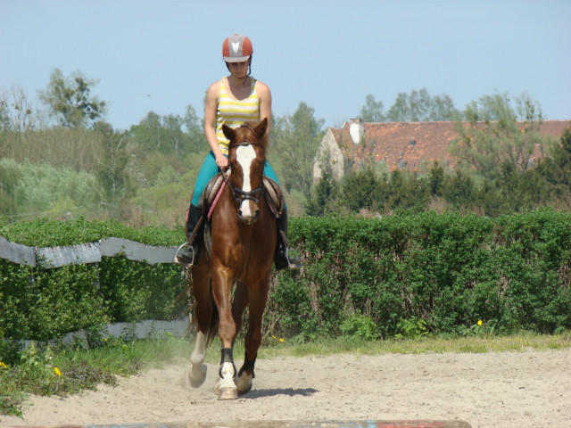 Wpis mojswiat91