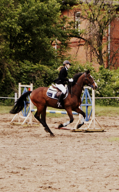 Canter