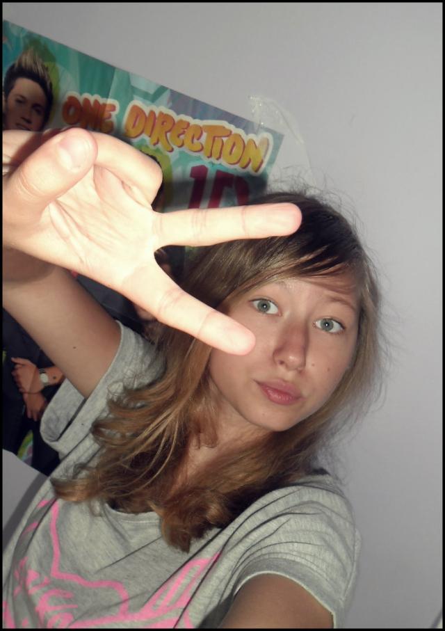 Wpis directioners13
