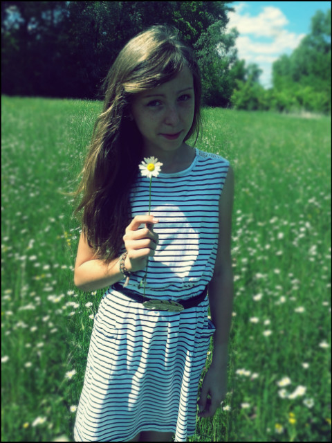 never say never 