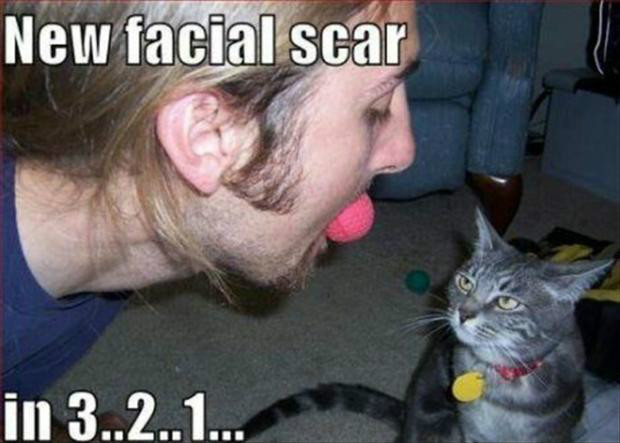 ahaha