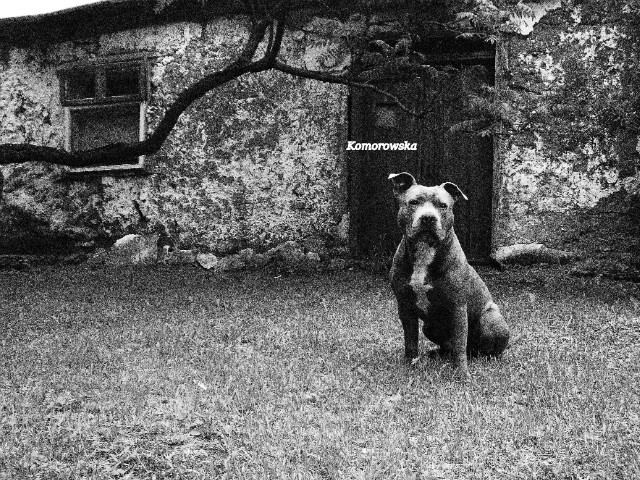 Ares