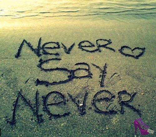 Never Say Never 