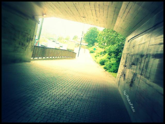 Wpis photosfotos