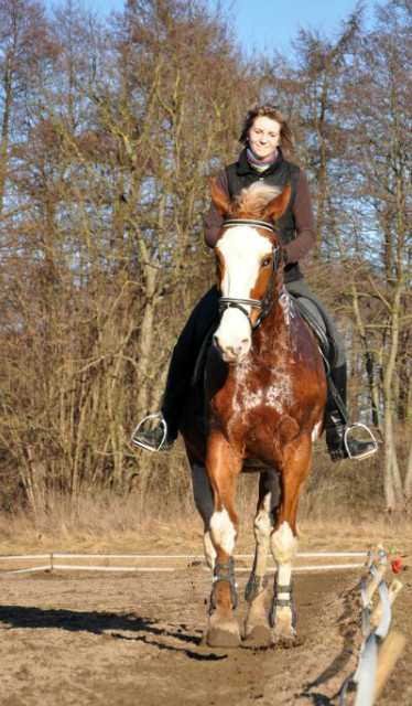 Kaprys, Fot. Wera
