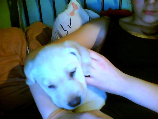 Nela se jest ;3