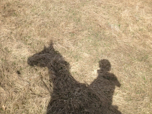 shadows perfect