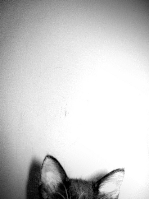 PIKNOwszdzie!