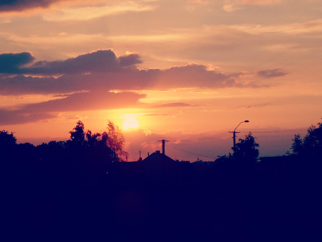 *_______________*