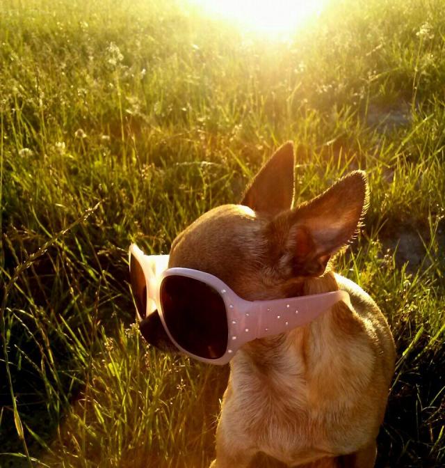 Sunny girl:-*